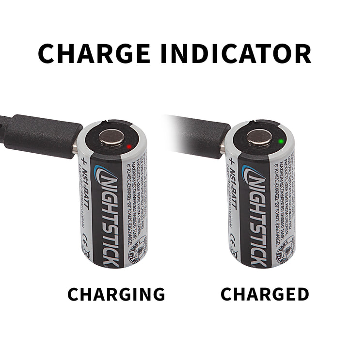 NS1-BATT: USB-C Rechargeable Li-ion Battery