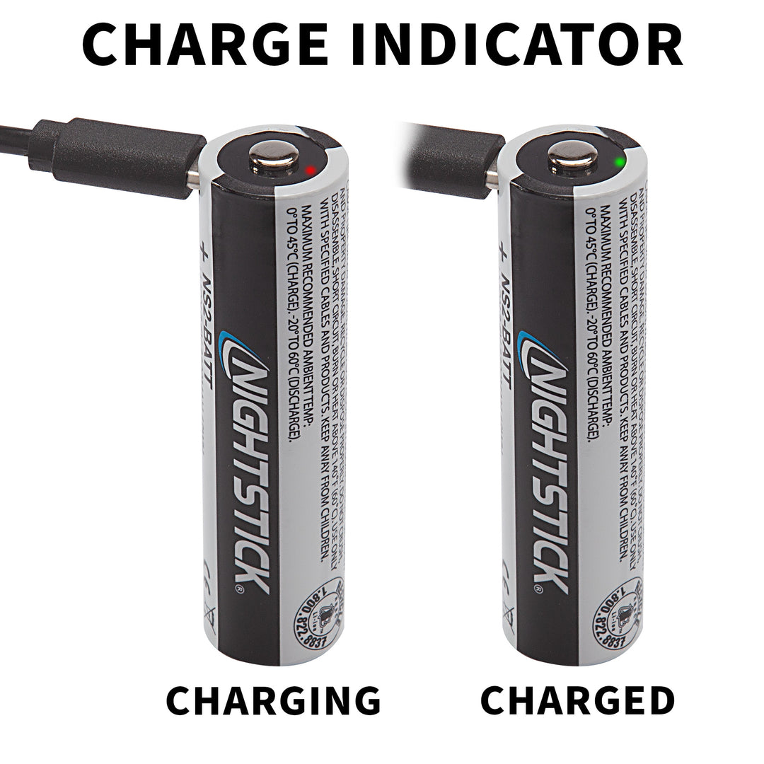 NS2-BATT: USB-C Rechargeable Li-ion Battery