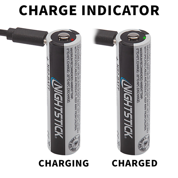 NS2-BATT: USB-C Rechargeable Li-ion Battery