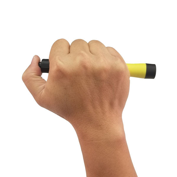 XPP-5411GX: Intrinsically Safe Penlight w/Mount