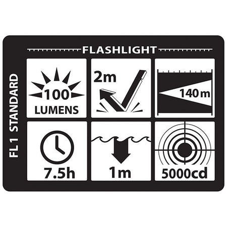 NSP-4620B: Multi-Function LED Light - 4 AA